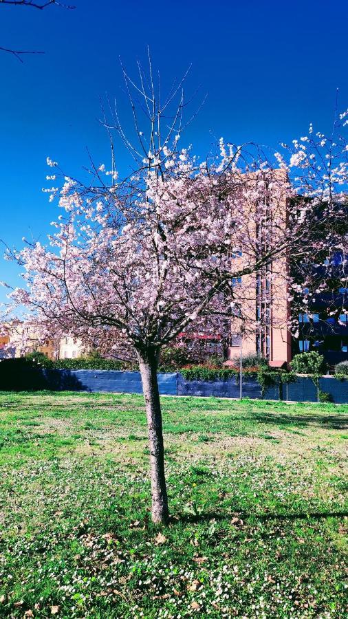 Bologna Vista Parco Apartment 2 Letti Matrimoniali Exteriér fotografie